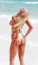 1babes7.jpg (48340 octets)