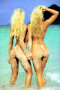 5babes7.jpg (137396 octets)